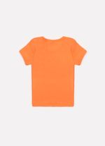 24909-021-3-Blusa-Ribana-Pituchinhus