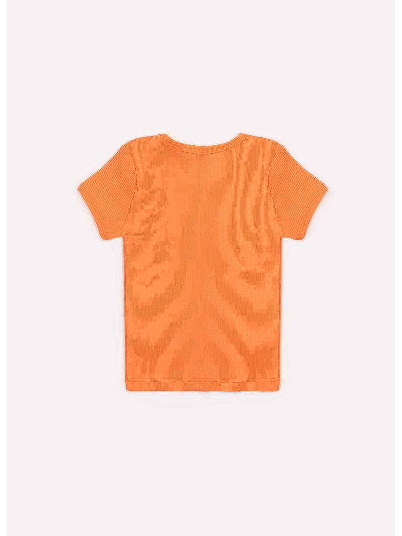 24909-021-3-Blusa-Ribana-Pituchinhus