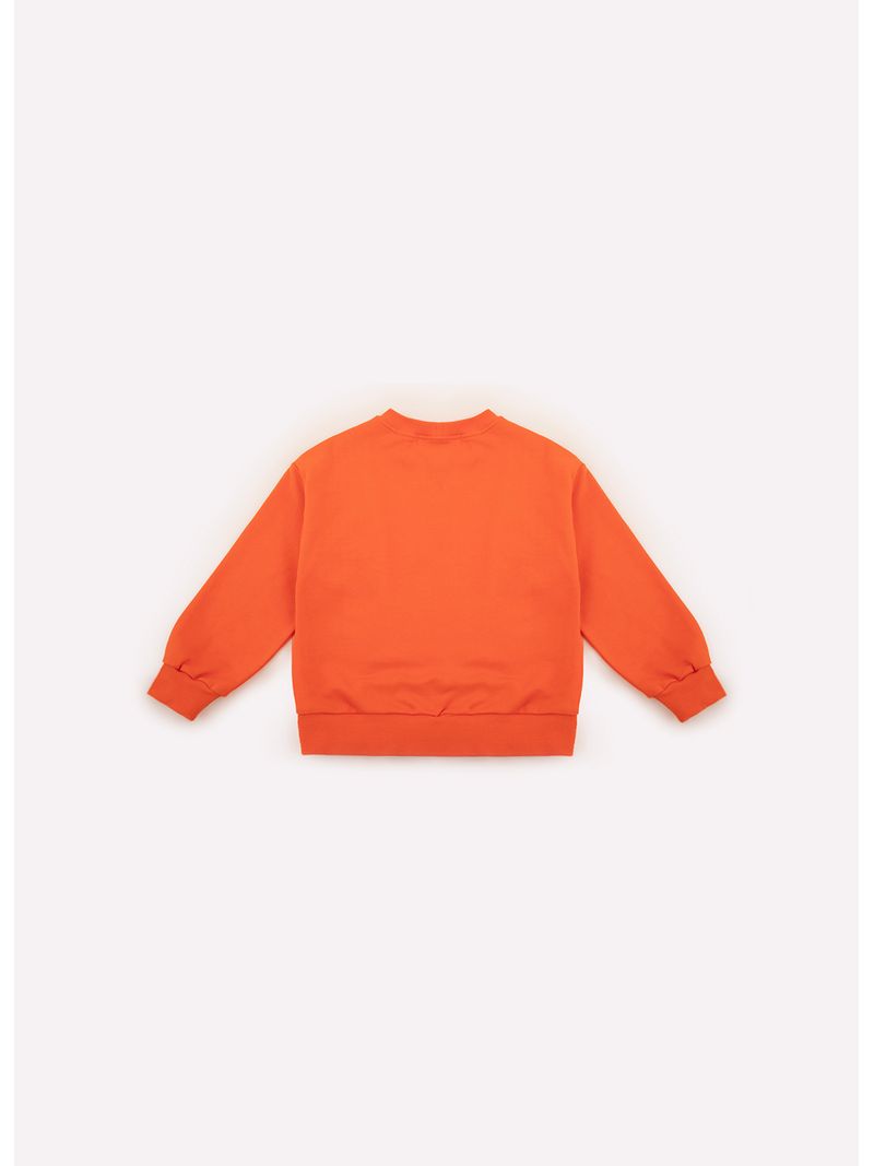 Blusa_Moletom_Felpado
