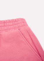 26724-251-4--Calca-Moletom-Felpado-Pituchinhus-Cristal---Certo