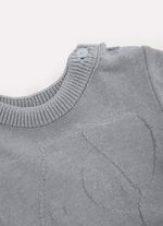 28501-450-4-Conjunto-Blusa-Tricot-Linx-Cachorro-e-Bermuda-Moletom-Rosto-copiar